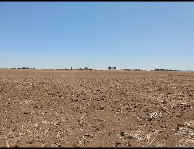 20.20HA VACANT LAND FOR SALE IN CHRISSIEFONTEIN
